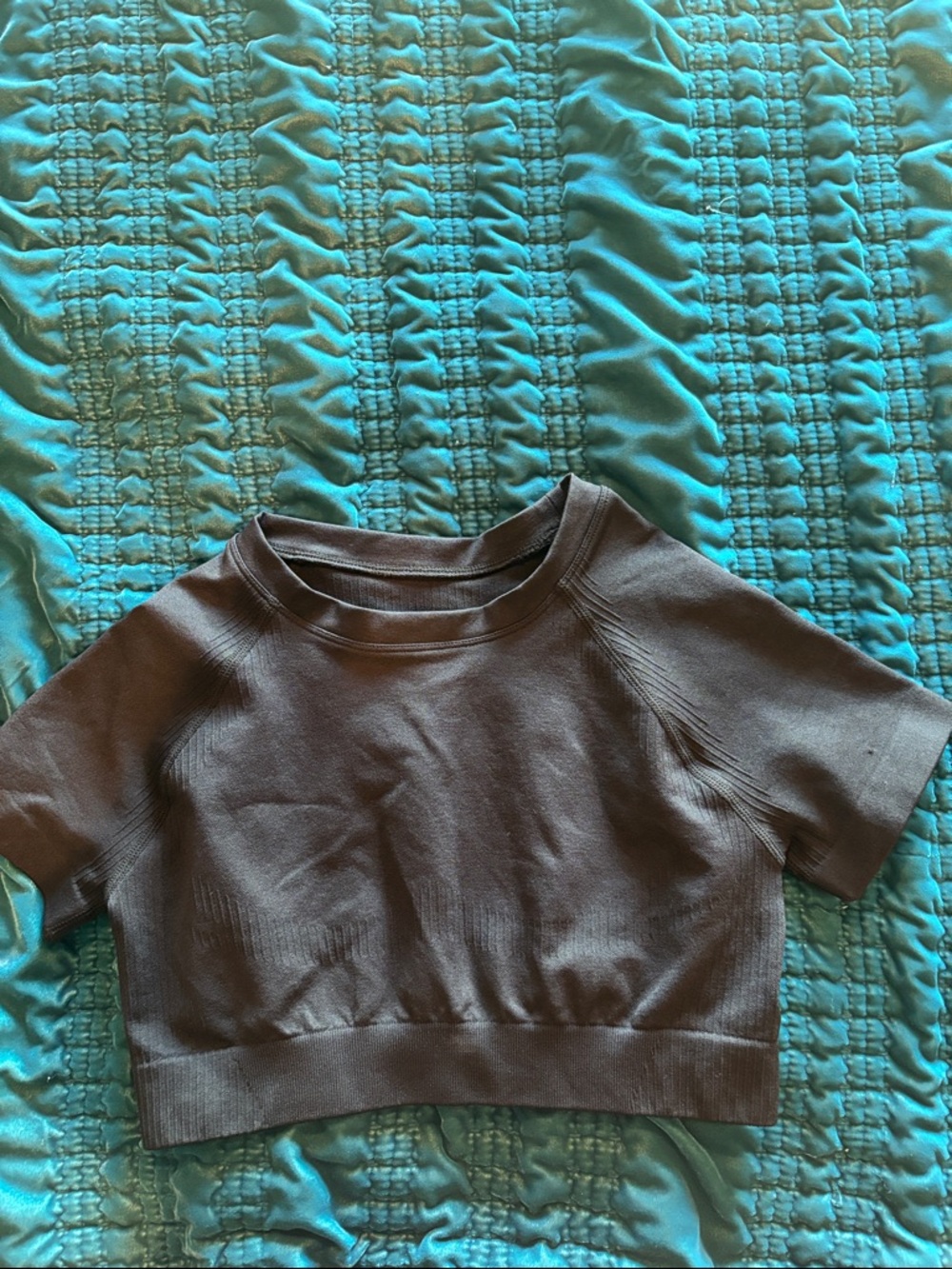 Cropped Short Sleeve Knit Top - Brown